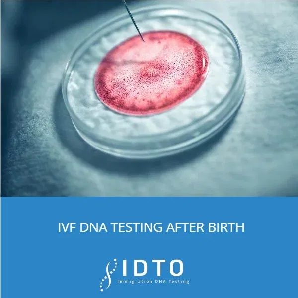 dna testing after in vitro