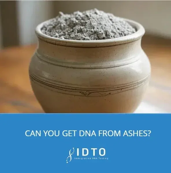 can you dna test ashes