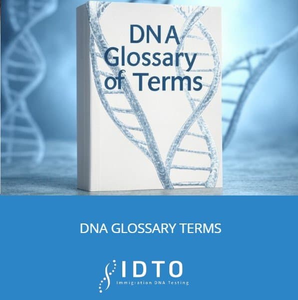 dna definitions